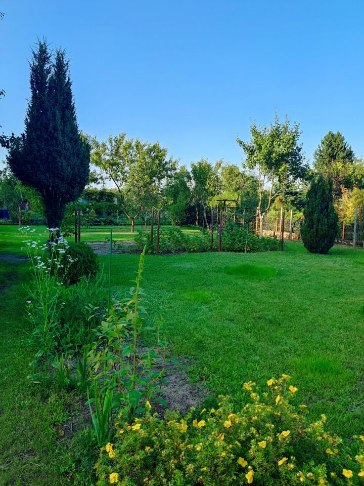 Działka rod Nowa Sól Stare Żabno, ul. Śląska. Zdjęcie 7