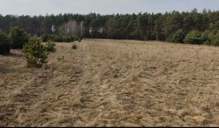 Działka rolno-budowlana Grabówiec