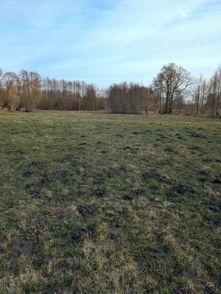 Działka rolna Łąkie, Łąkie. Zdjęcie 13