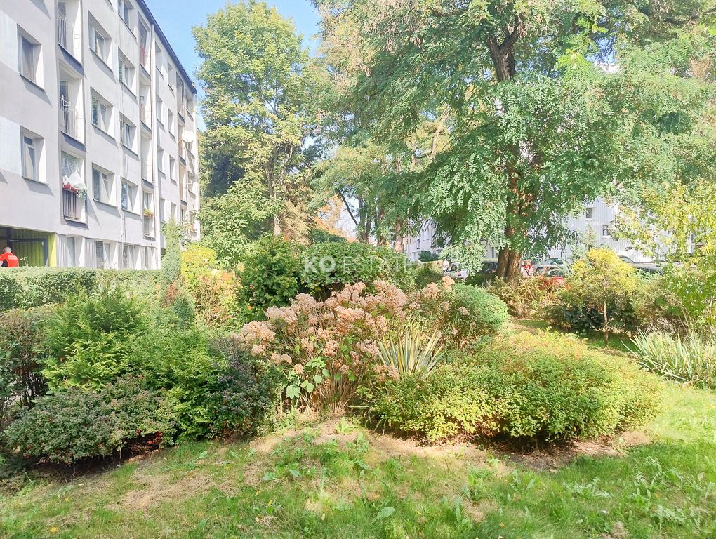 Mieszkanie 2-pokojowe Wrocław Biskupin, ul. Piotra Norblina. Zdjęcie 17