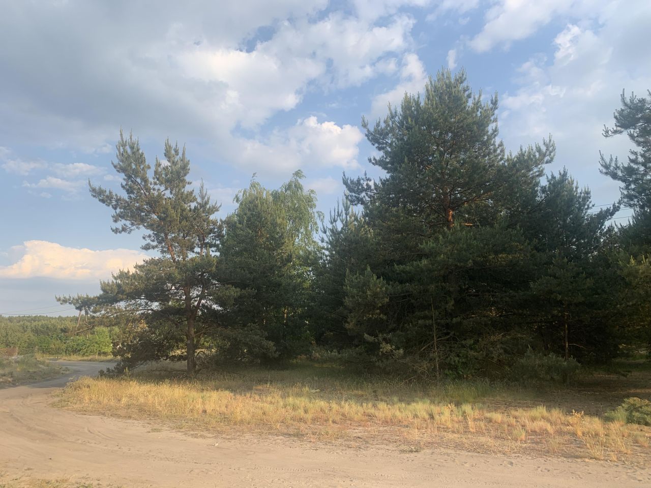 Działka budowlana Drzewce, ul. Drzewiecka. Zdjęcie 6