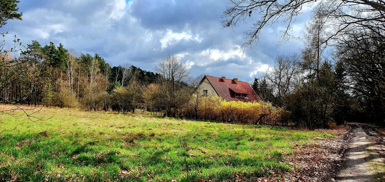 dom wolnostojący, 6 pokoi Szczaniec, ul. Lipowa