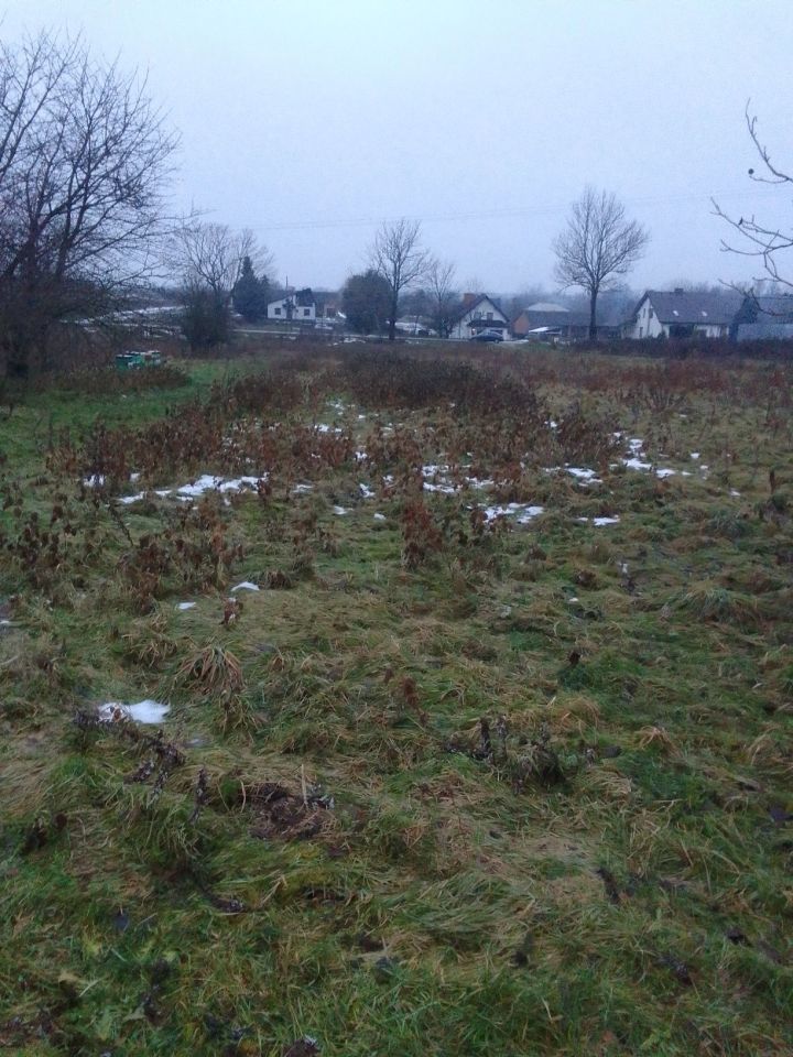 Działka budowlana Karczmiska Pierwsze. Zdjęcie 4