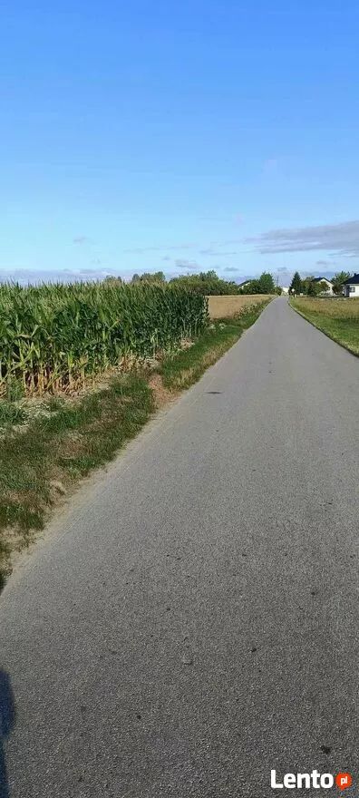 Działka rolno-budowlana Sokolniki Suche. Zdjęcie 4