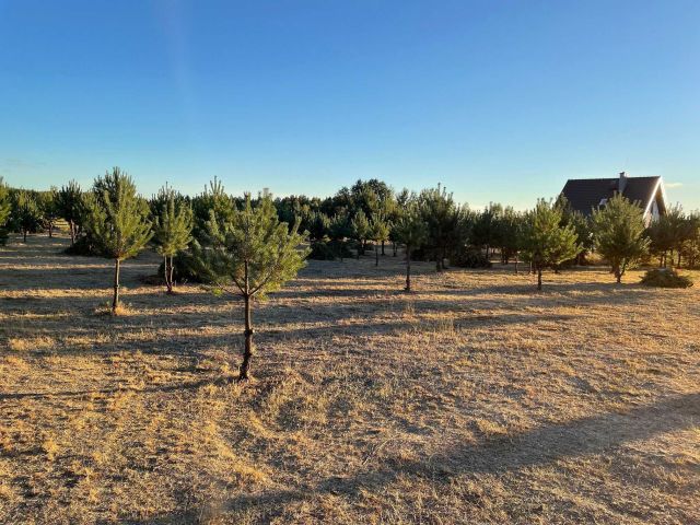 Działka budowlana Olszyny. Zdjęcie 1