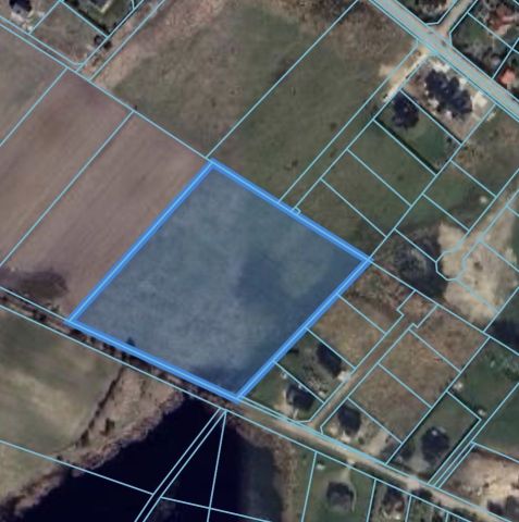 Działka budowlana Zieleniewo. Zdjęcie 1