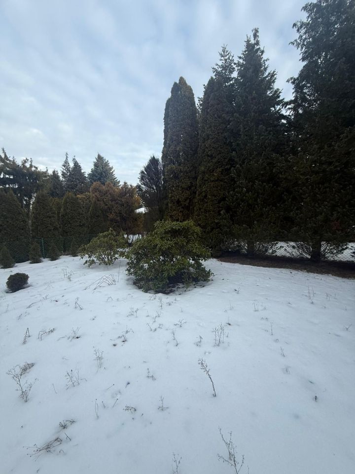 Działka rod Grodzisk Mazowiecki. Zdjęcie 4