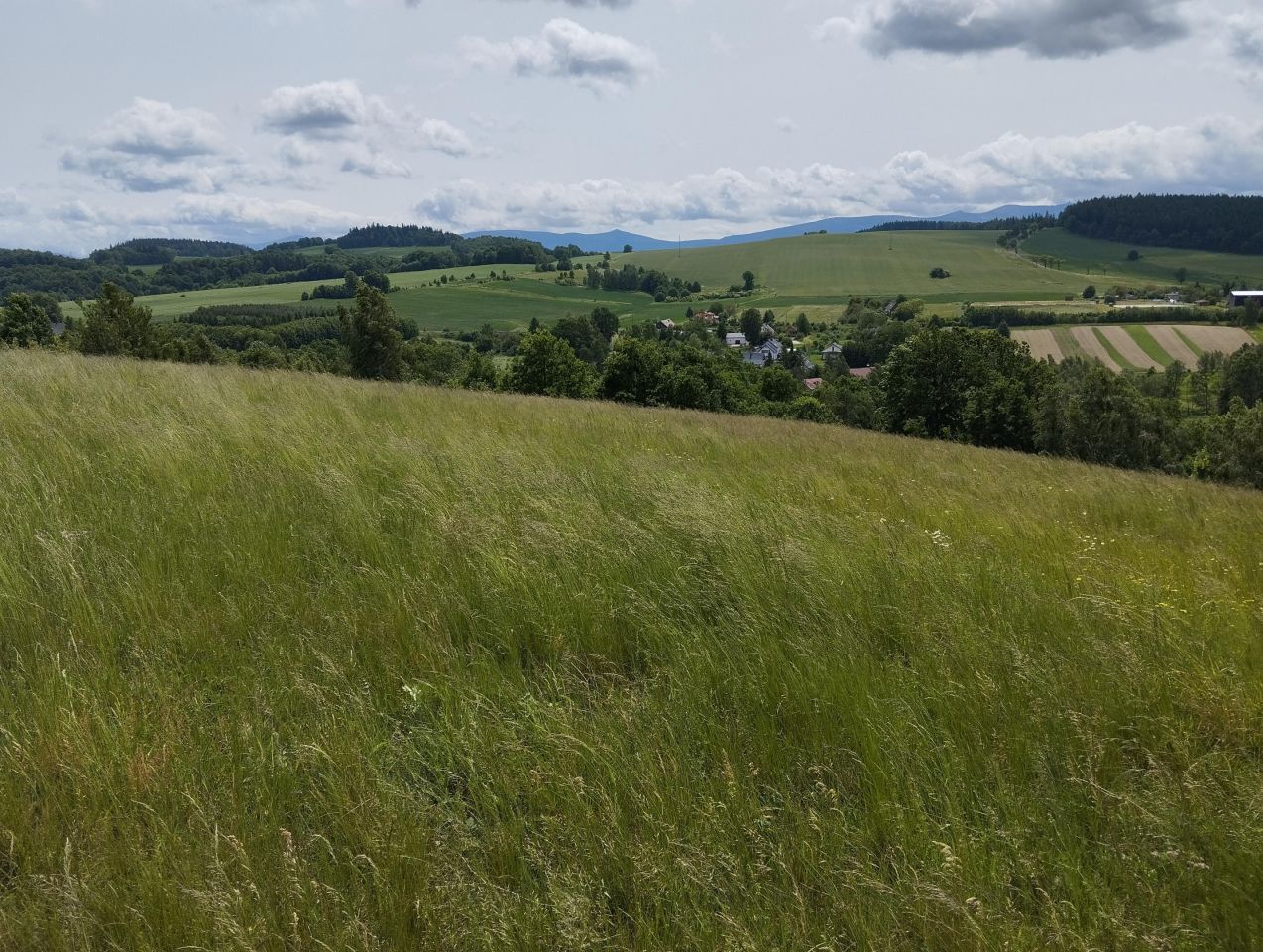 Działka siedliskowa Rybnica. Zdjęcie 6