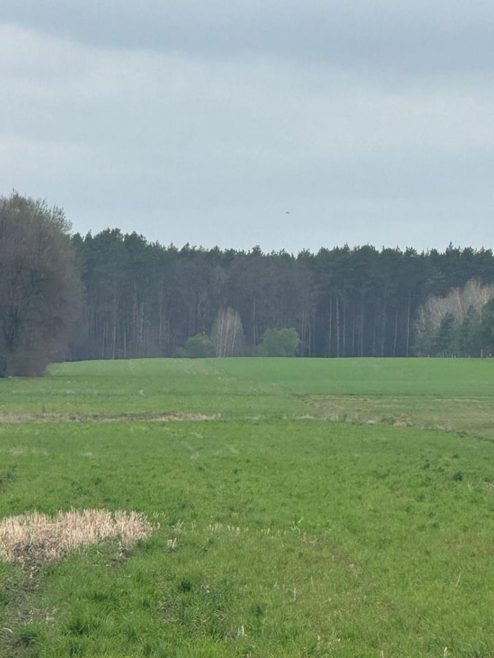 Działka rolna Stary Jamielnik. Zdjęcie 4