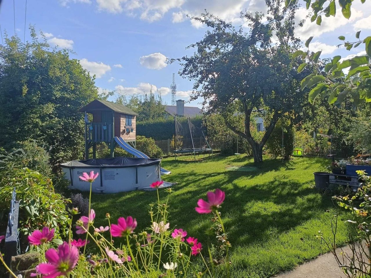 Działka rod Szczecin, ul. Władysława Nehringa. Zdjęcie 6