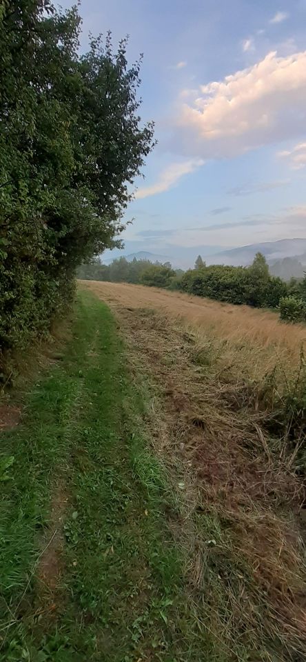 Działka rolna Pewel Wielka. Zdjęcie 3