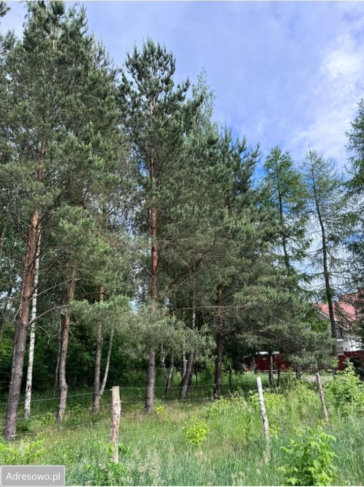 Działka budowlana Stara Wieś, ul. Głogowa. Zdjęcie 6