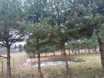 dom wolnostojący, 6 pokoi Słupca, ul. Koszucka. Zdjęcie 2