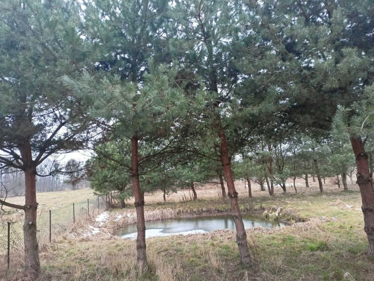 dom wolnostojący, 6 pokoi Słupca, ul. Koszucka. Zdjęcie 3