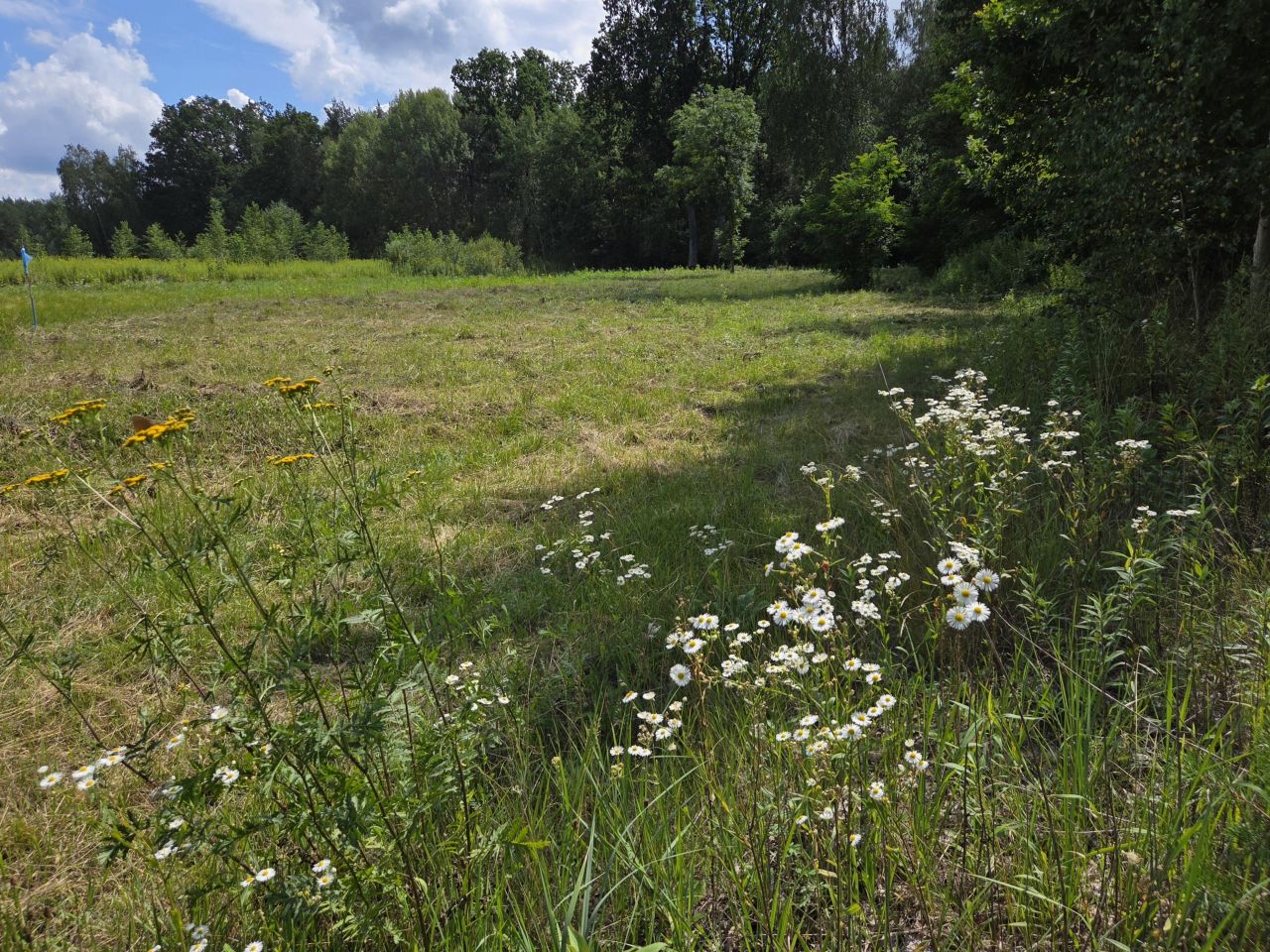 Działka budowlana Dąbrówka, ul. Boczna. Zdjęcie 3