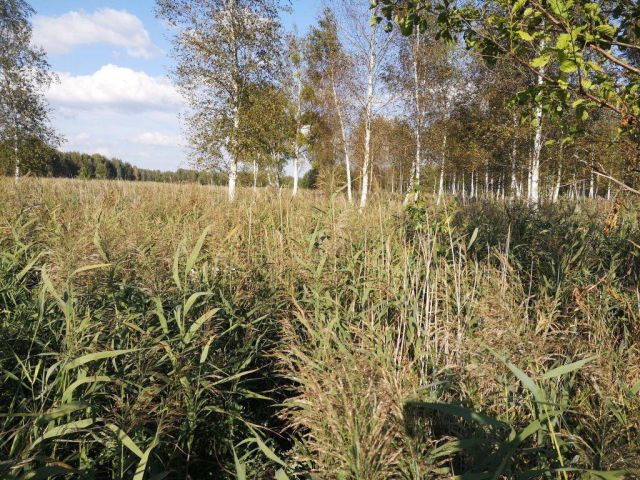 Działka rekreacyjna Szczechy Małe. Zdjęcie 14