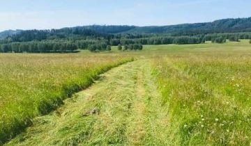 Działka rolna Golińsk