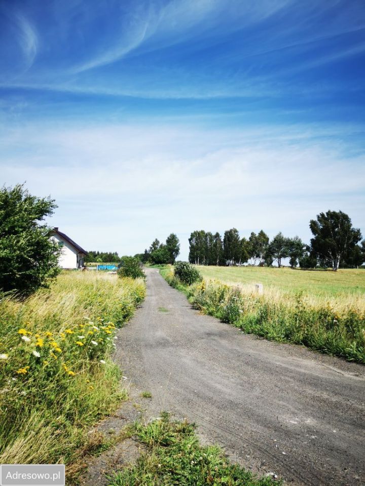 Działka budowlana Zajączkowo, ul. Brzozowa. Zdjęcie 5