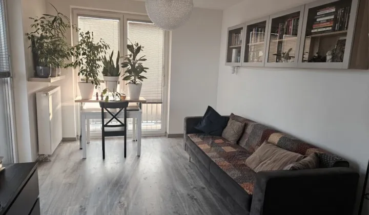 Mieszkanie 3-pokojowe Brwinów, ul. Pszczelińska