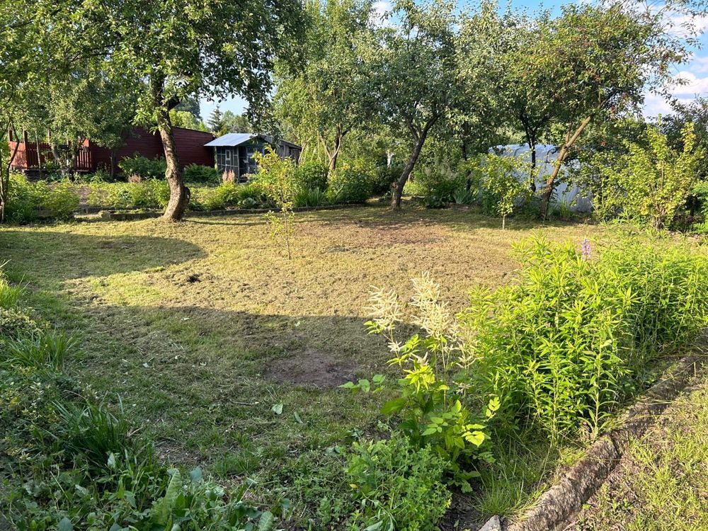 Działka rod Odolanów. Zdjęcie 1