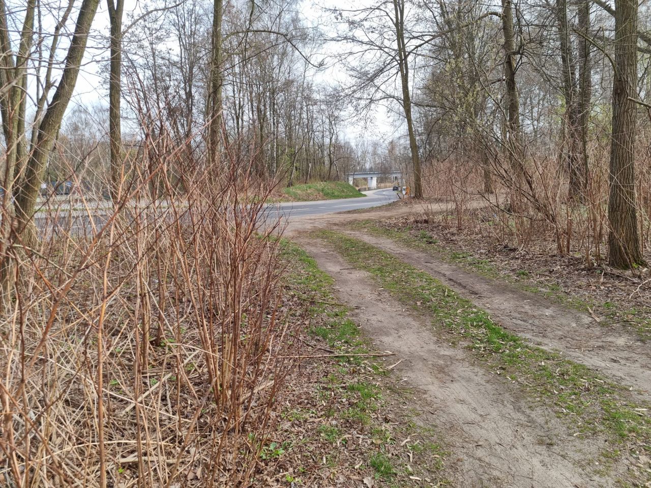 Działka rekreacyjna Dąbrowa Górnicza Marianki, ul. Marianki. Zdjęcie 2