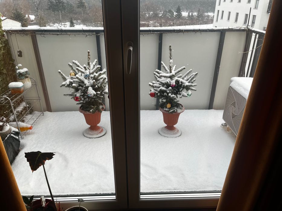 Mieszkanie 2-pokojowe Bydgoszcz. Zdjęcie 3