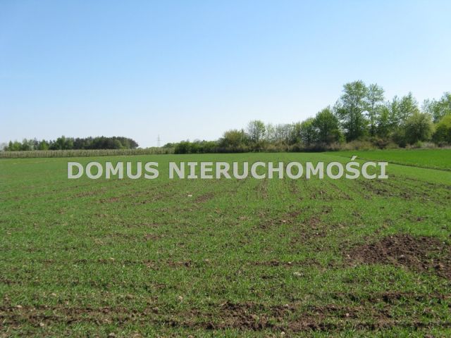 Działka Tworzyjanki. Zdjęcie 2