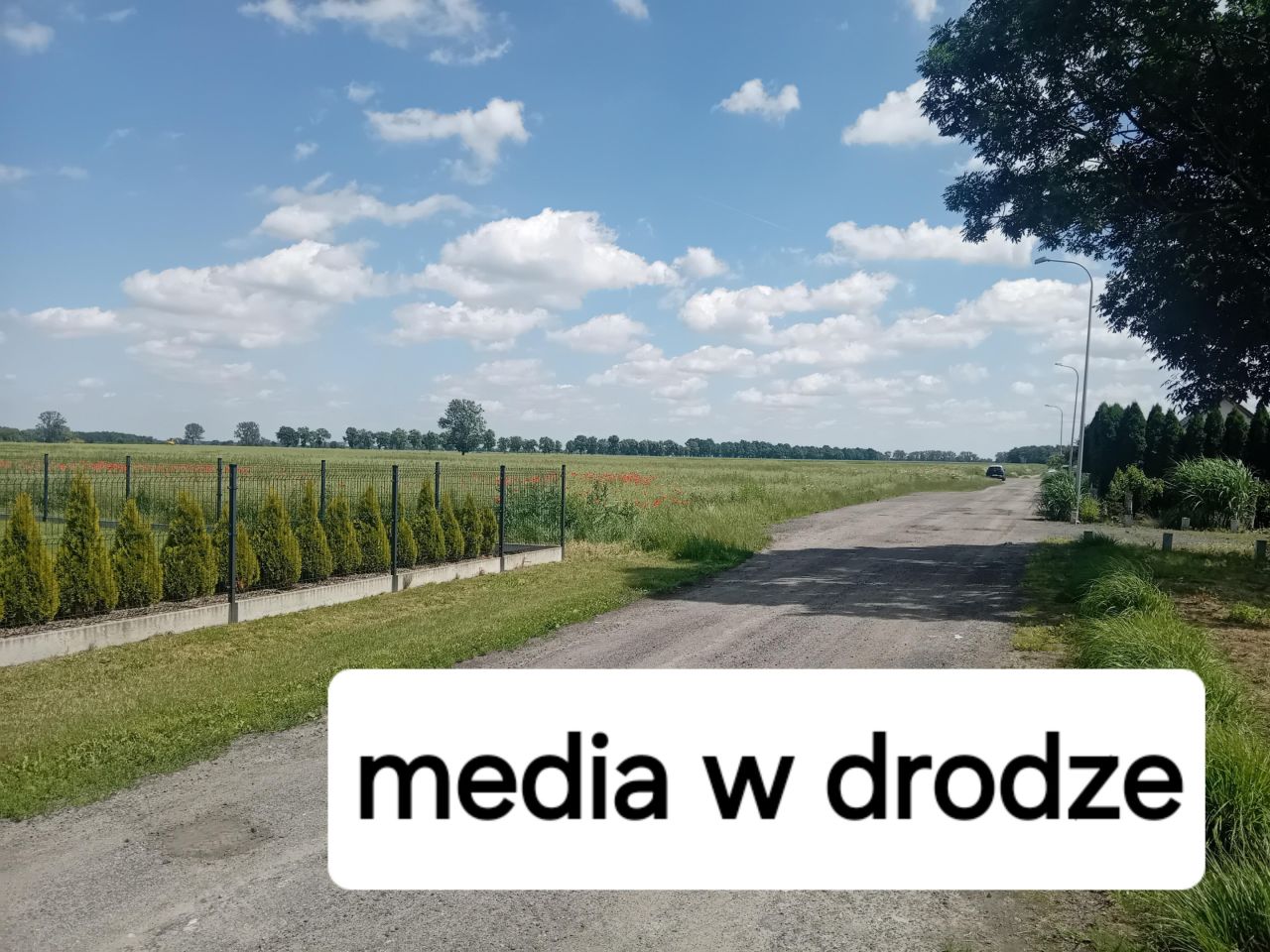 Działka budowlana Świerzna. Zdjęcie 2