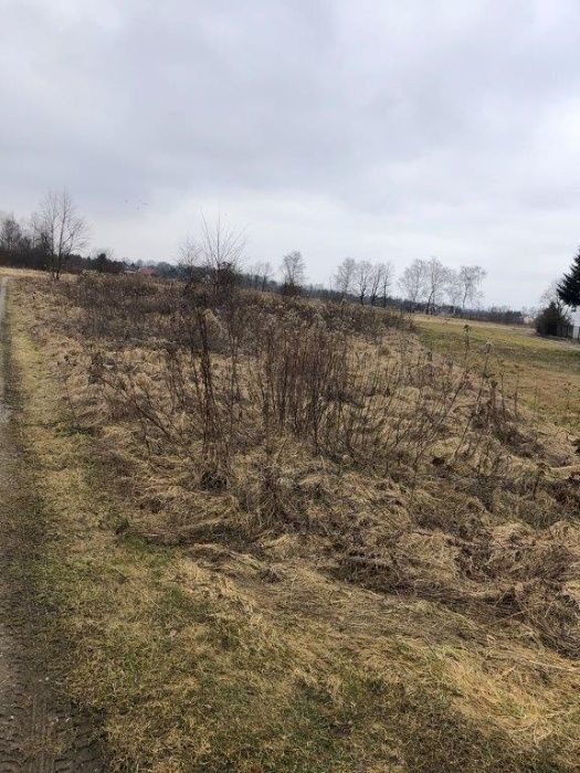 Działka budowlana Kopanka Przeryta, ul. Topolowa. Zdjęcie 4