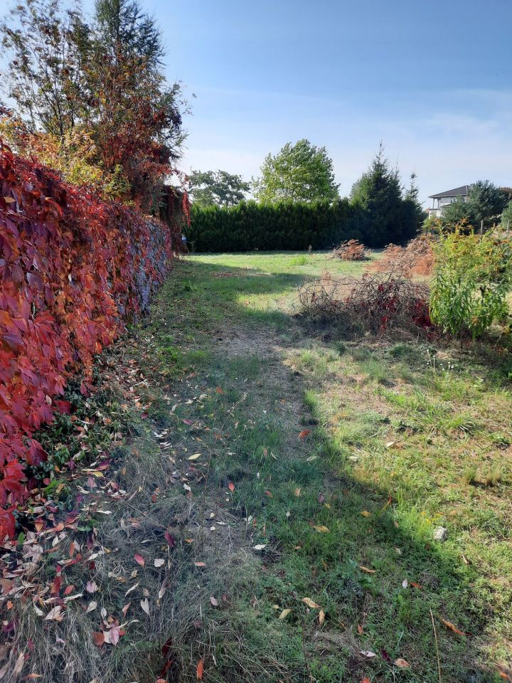 Działka budowlana Dąbrówka Nowa. Zdjęcie 5