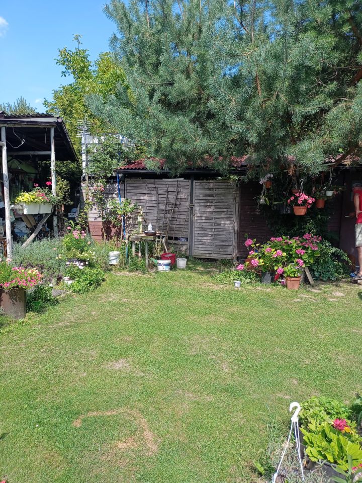 Działka rekreacyjna Wrocław Bierdzany, ul. Nizinna. Zdjęcie 36