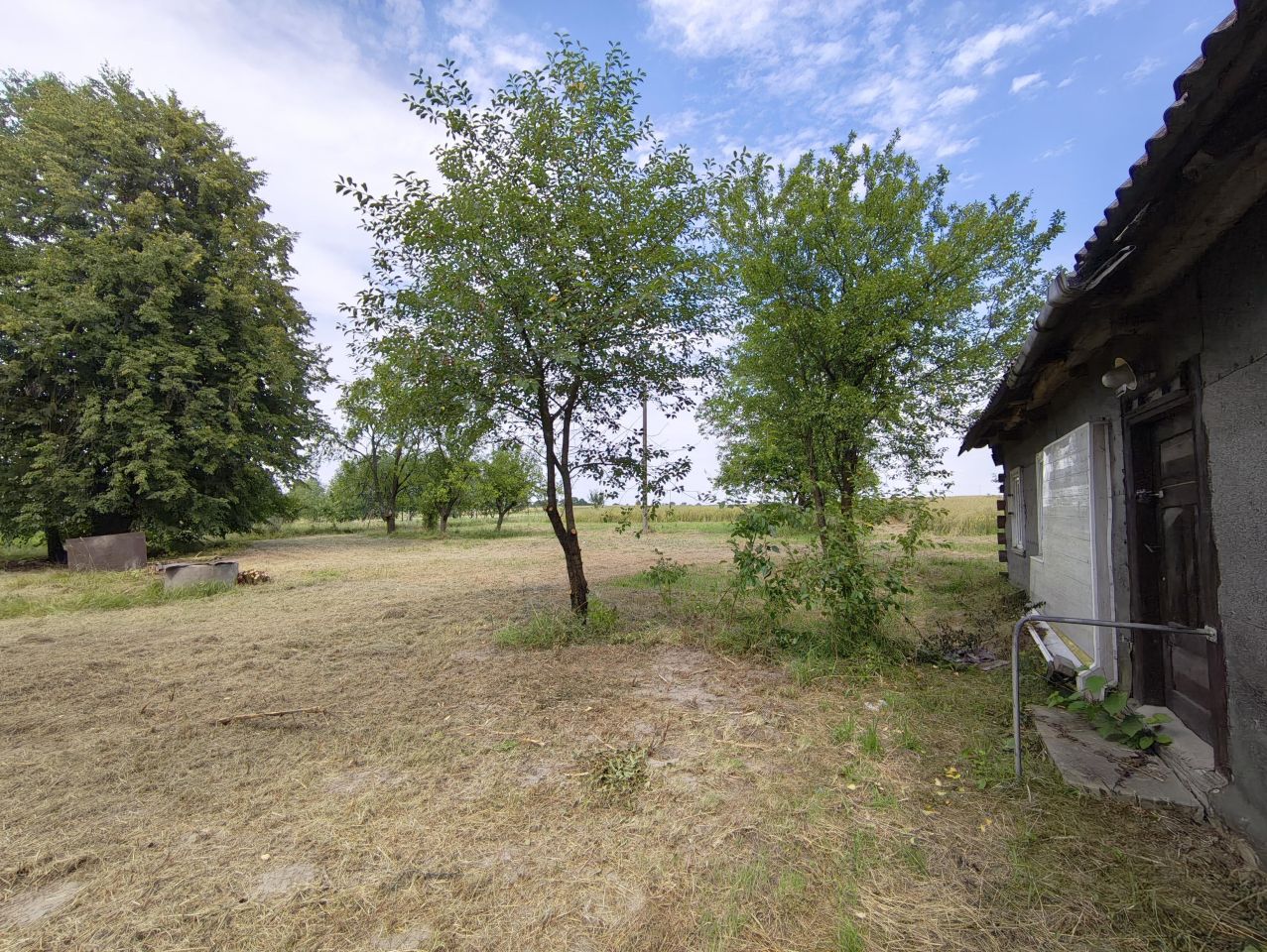 Działka rolno-budowlana Stawki Szkorutyniec. Zdjęcie 10