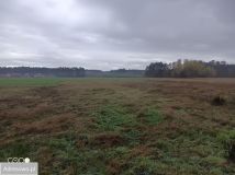 Działka budowlana Chwalęcice, ul. Leśna. Zdjęcie 3