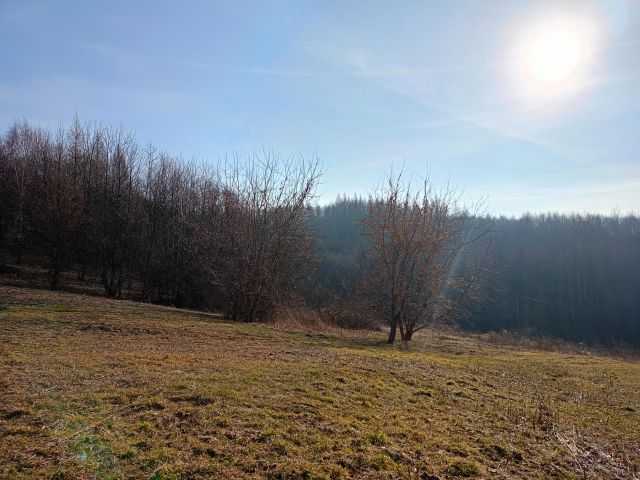 Działka rolno-budowlana Zaborów. Zdjęcie 2