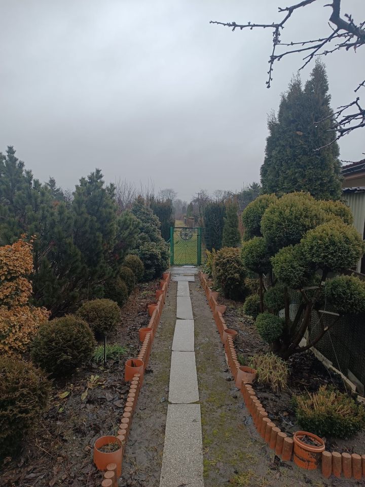 Działka rod Ostrów Wielkopolski. Zdjęcie 4