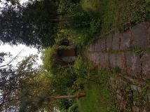 Działka rod Katowice Brynów, ul. Porfirowa. Zdjęcie 2