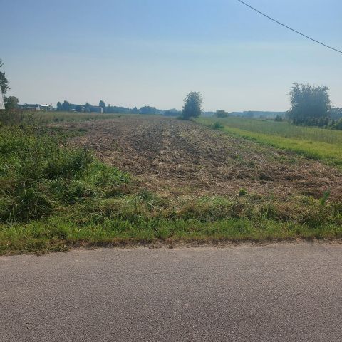 Działka rolno-budowlana Wysocin. Zdjęcie 1
