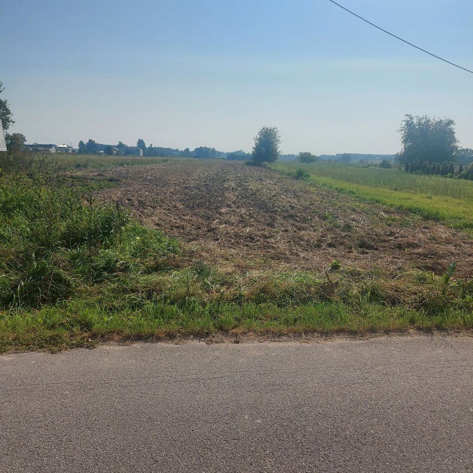 Działka rolno-budowlana Wysocin. Zdjęcie 2