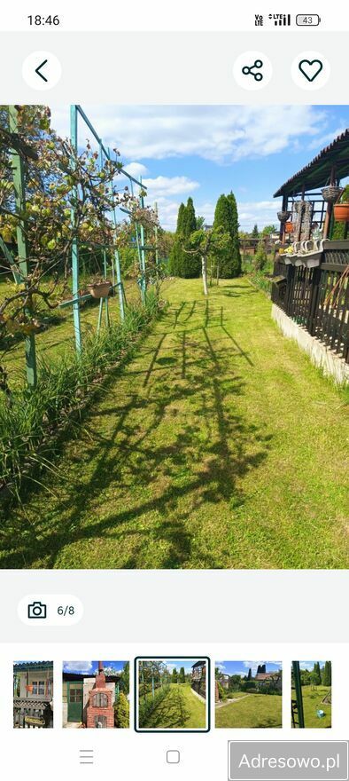 Działka rod Polkowice, ul. Działkowa. Zdjęcie 7