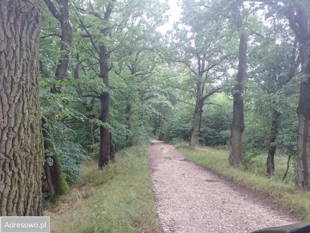 Działka budowlana Długopole Dolne. Zdjęcie 6