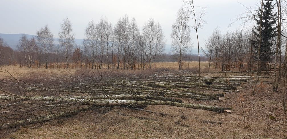 Działka budowlana Masłów Drugi