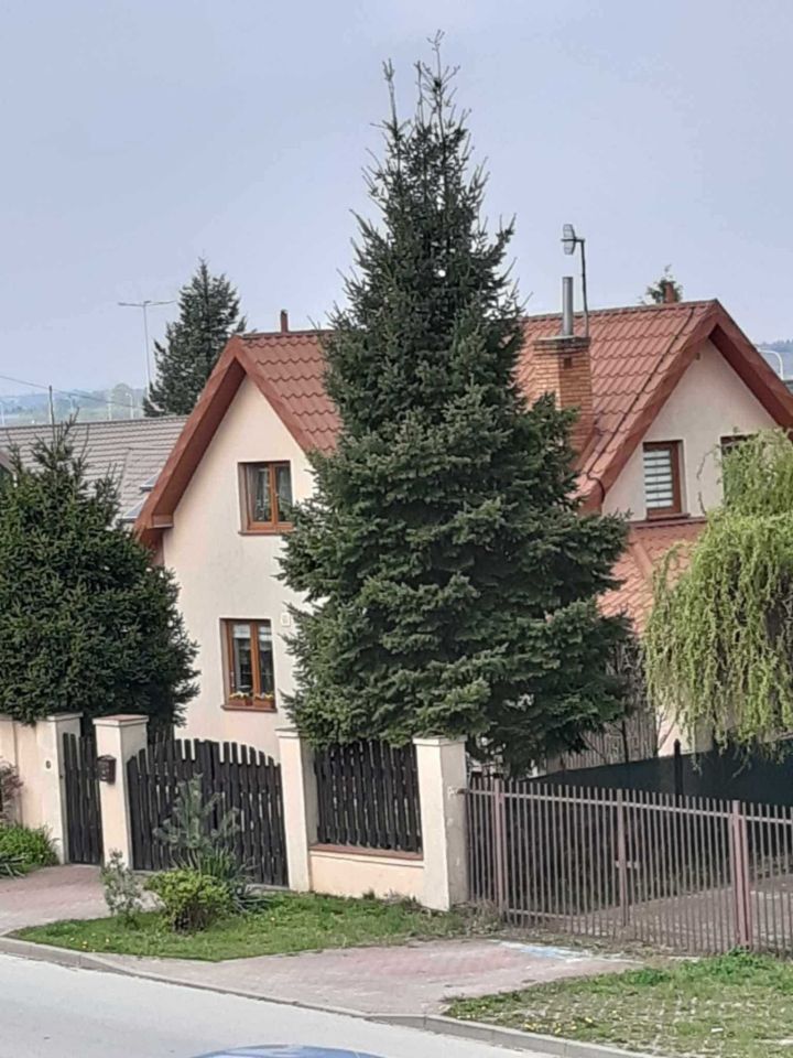 dom wolnostojący, 5 pokoi Turka. Zdjęcie 4