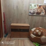 dom wolnostojący, 1 pokój Nowy Uścimów. Zdjęcie 3