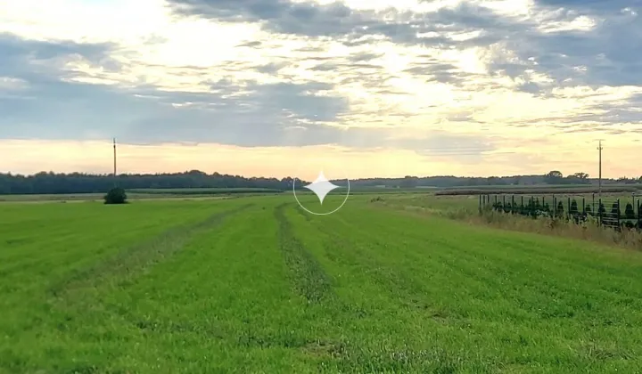 Działka rolna Piecki