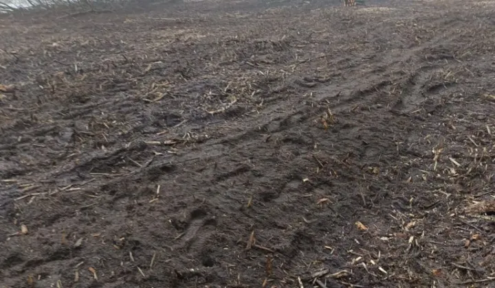 Działka budowlana Rusiec, ul. Rubinowa