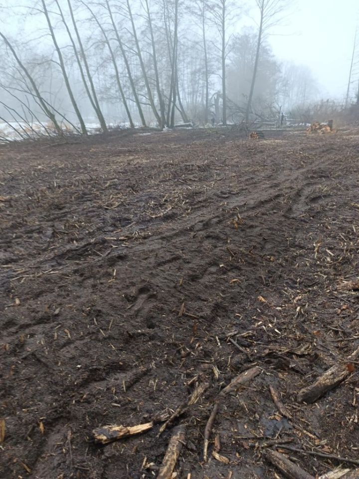 Działka budowlana Rusiec, ul. Rubinowa. Zdjęcie 1