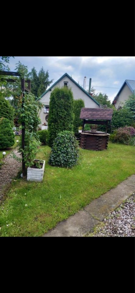 Działka rod Otwock. Zdjęcie 2