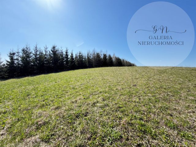 Działka rekreacyjna Wilimy. Zdjęcie 4