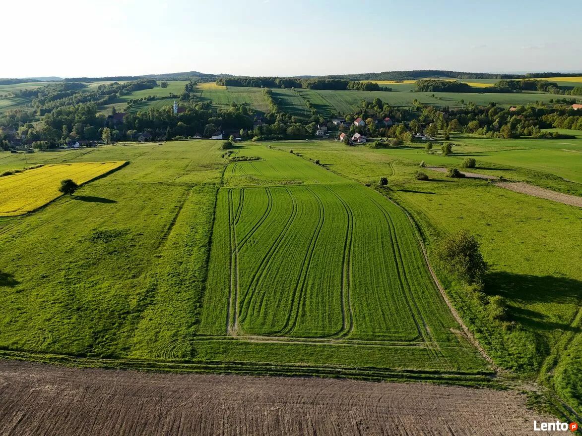 Działka rolna Pomocne. Zdjęcie 7