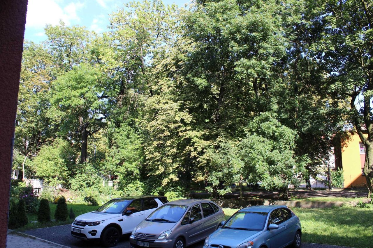 Mieszkanie 1-pokojowe Bytom Śródmieście, pl. Akademicki. Zdjęcie 8